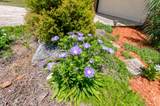 3215 Colonial Drive - Photo 34