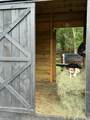 2300 Salley Road - Photo 89