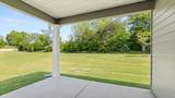 3171 Fancy Trail - Photo 6