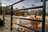 142 Hopewell Road - Photo 39