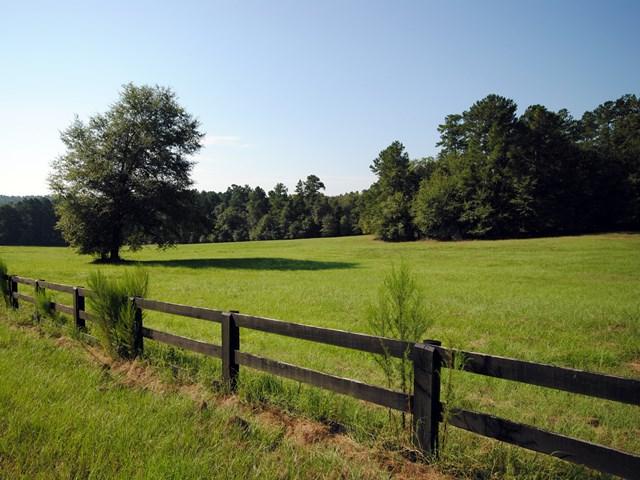 566 Anderson Pond Road - Photo 1