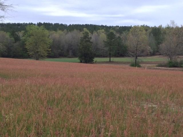 0 Deer Stand Road - Photo 1