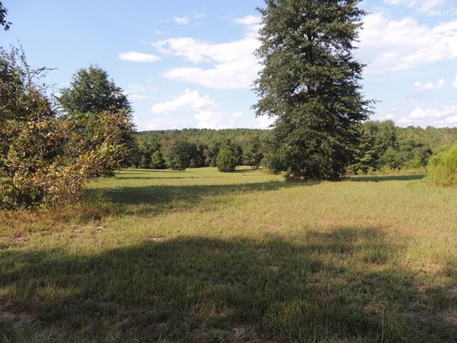 00 Deer Stand Road - Photo 1