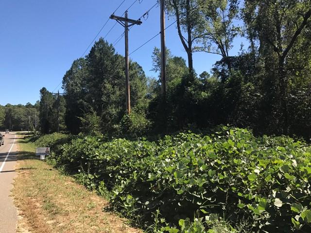Lot 83 Pine Log Road - Photo 1