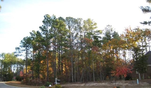230 Birch Tree Cir - Photo 1