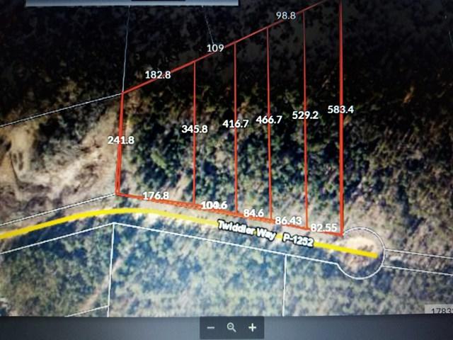 9A Twiddler Road - Photo 1