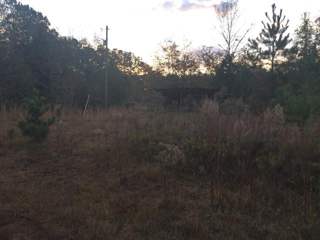 117 Hoss Ln - Photo 1