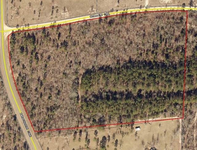 14.61 ac Bethcar Church & Bluffwood - Photo 1