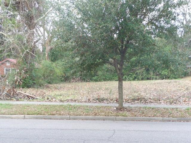 Tract 2 Laurens St Nw - Photo 1
