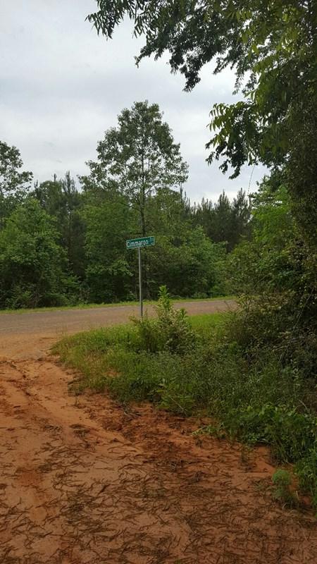 Lot 9 Kirkland Street - Photo 1