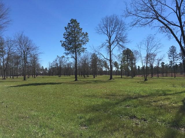 lot 48P7 Marsh Tacky Run - Photo 1