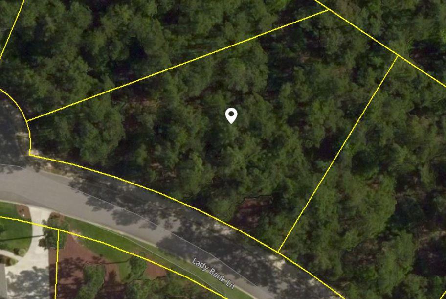 000 Lady Banks Lane - Photo 1