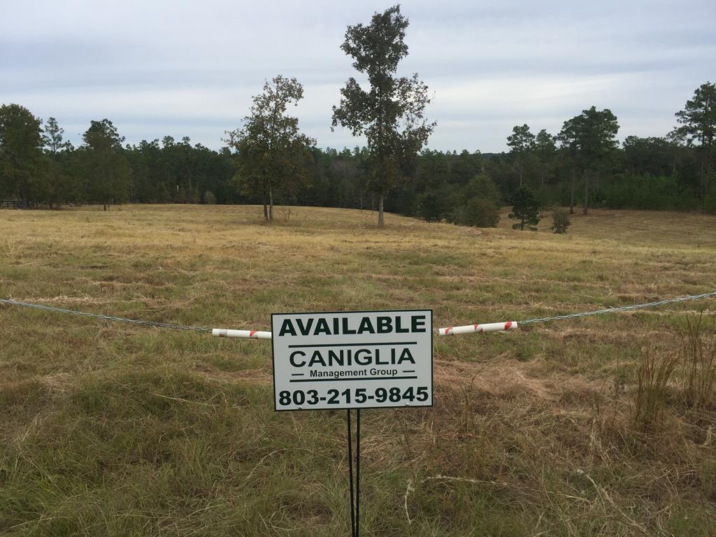 00 Anderson Pond Road - Photo 1