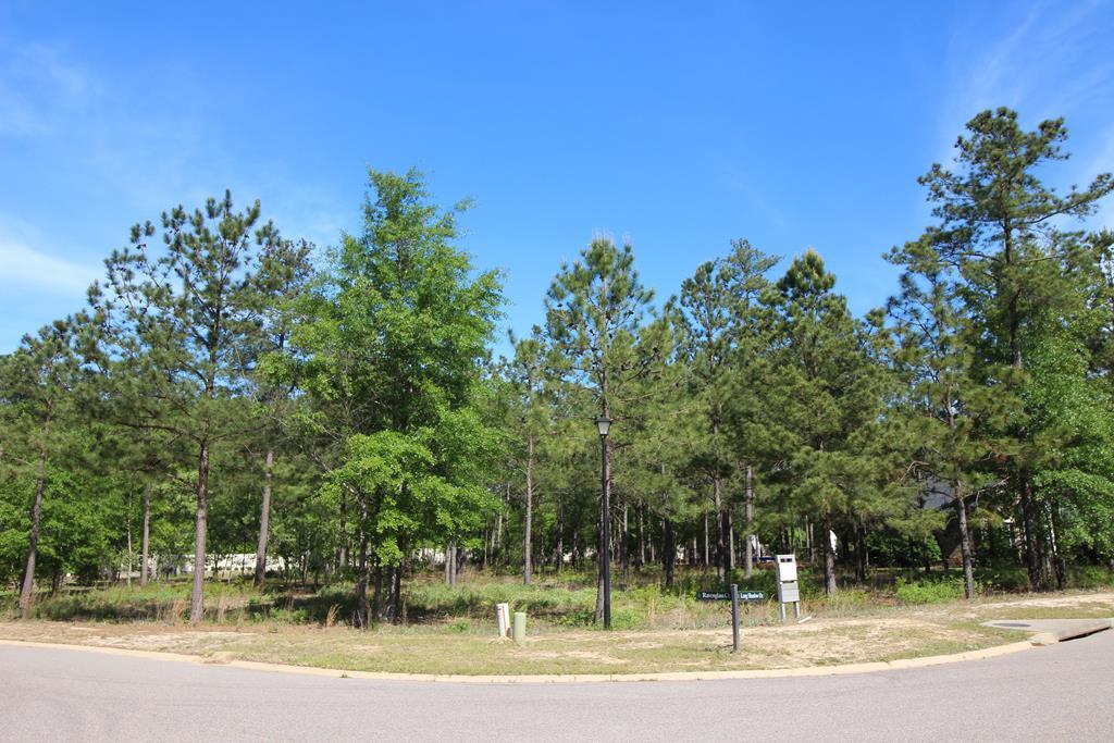 538 Long Shadow Drive - Photo 1