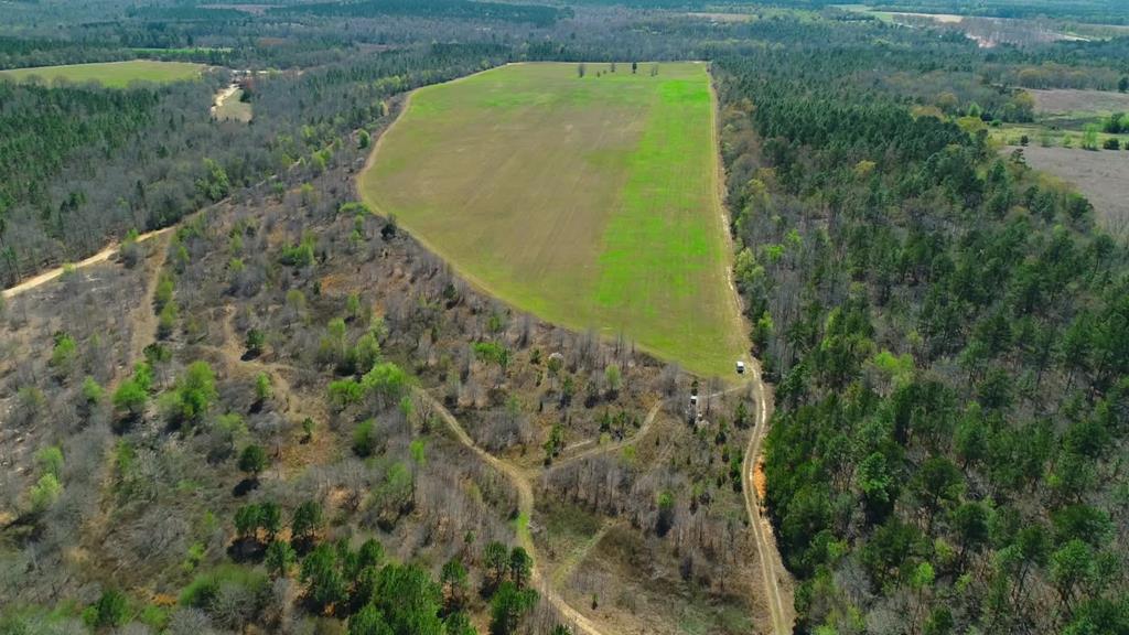 509 Shadow Lane Rd - Photo 1