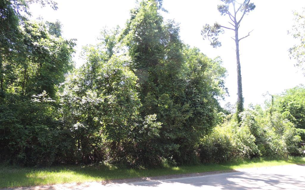 3 ac Laurens Street Sw - Photo 1 3 ac Laurens Street Sw - Photo 1