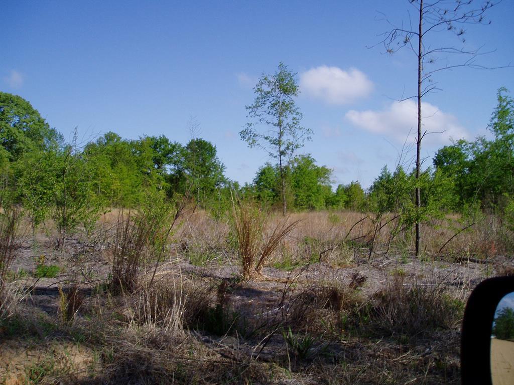 LOT 11 A Shaws Fork Road - Photo 1