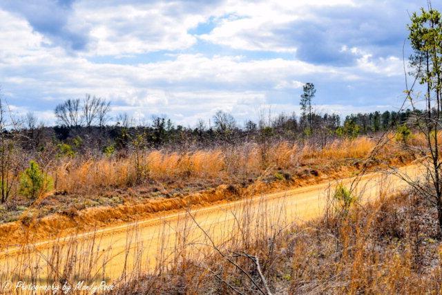 LOT 11 B Shaws Fork Road - Photo 1