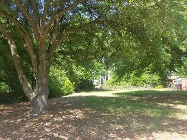 00 Stewart Drive - Photo 1
