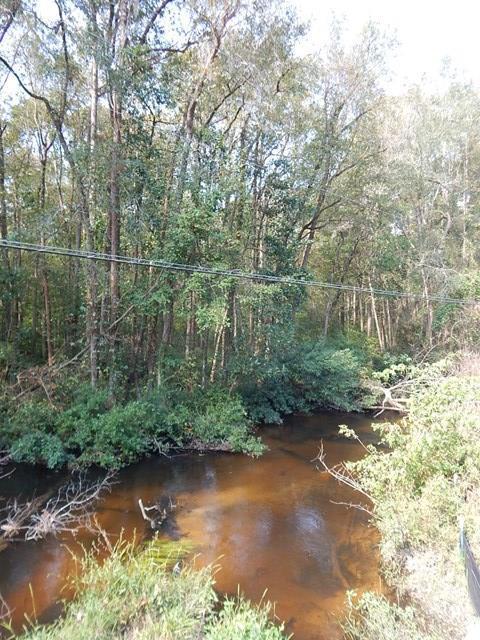 0 Old Jackson Hwy - Photo 1