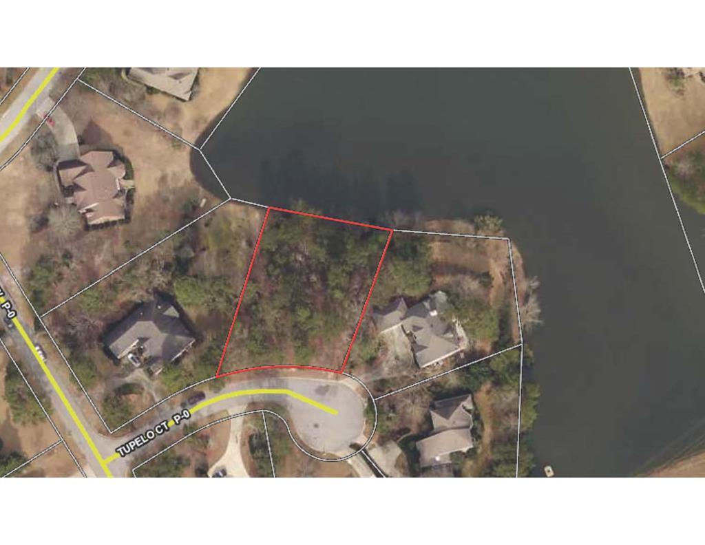 3 Tupelo Court - Photo 1