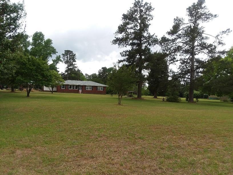 334 Dixie Clay Rd - Photo 1