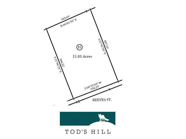 35 Reeves Street - Photo 1