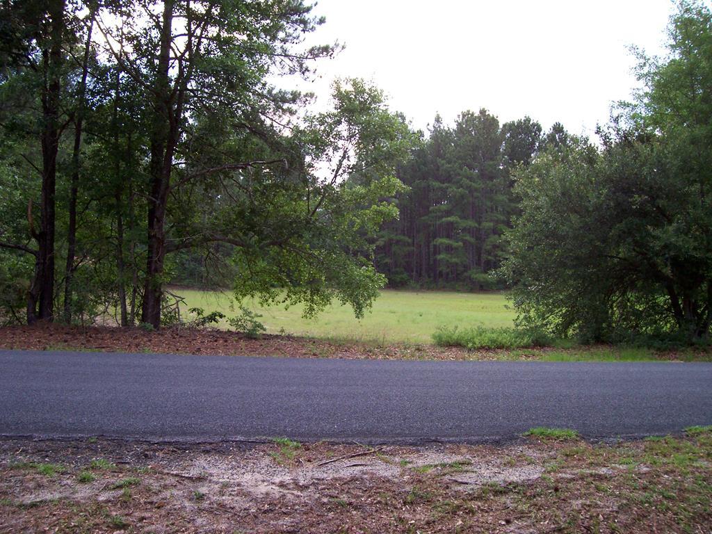 000 Wagener Trail Road - Photo 1