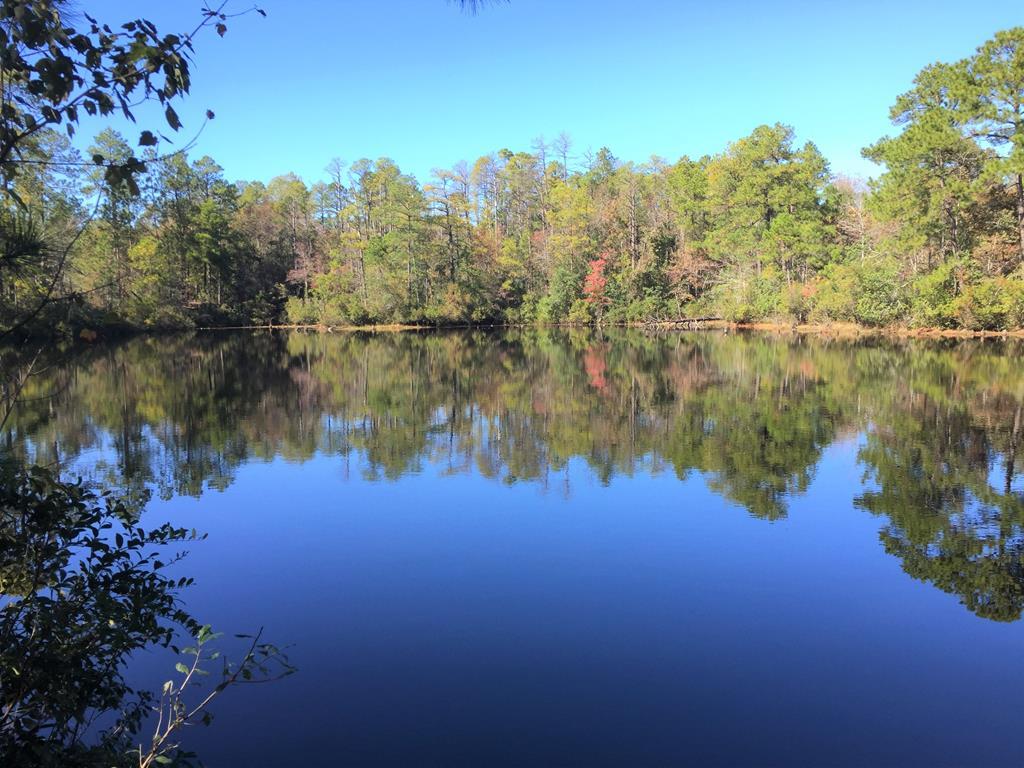 0 Bogeyville Rd - Photo 1