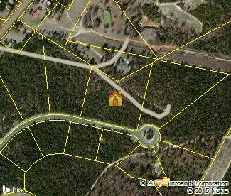 Lot 39A Drayton Court - Photo 1
