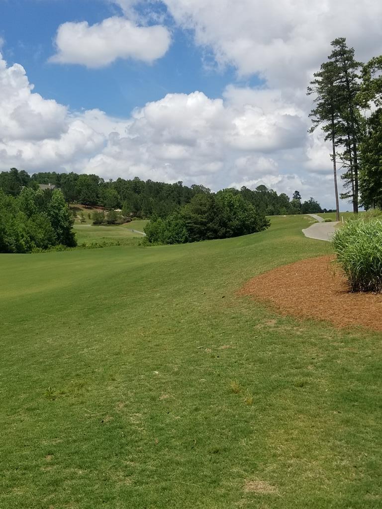 119 Trippi Lane - Photo 1