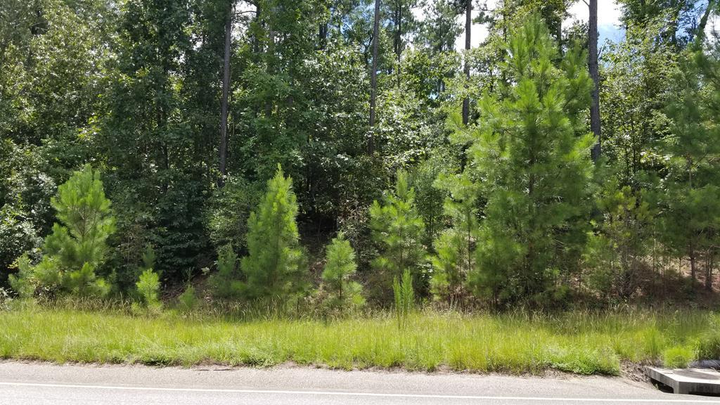 LOT 20 Anderson Pond Road - Photo 1