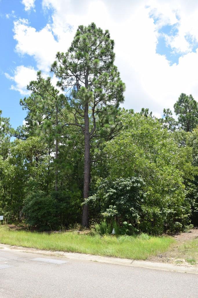317 Steeplechase Rd - Photo 1