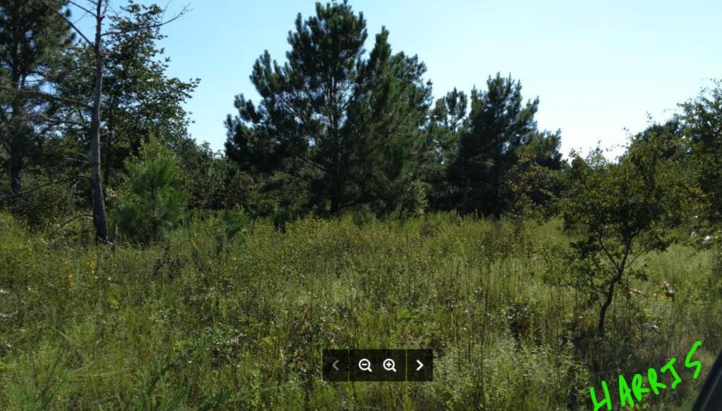 0 Dry Branch Rd - Photo 1