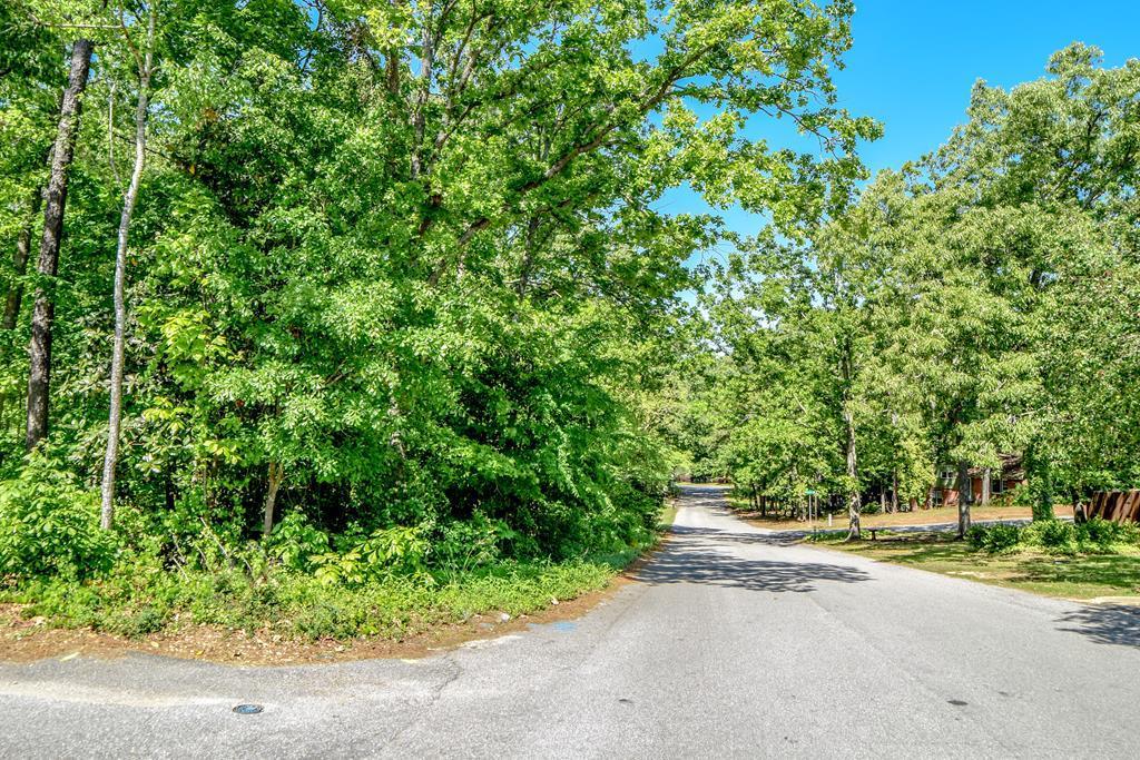 Lot 14-N Vanderbilt - Photo 1