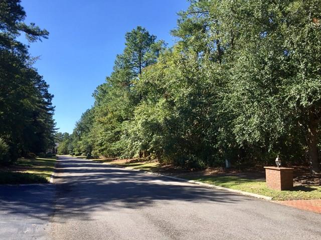 316 Magnolia Lake Court - Photo 1