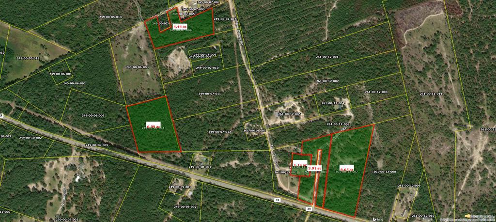231 New Dailey Road - Photo 1