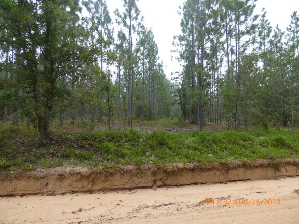 0 Hutto Pond Road - Photo 1