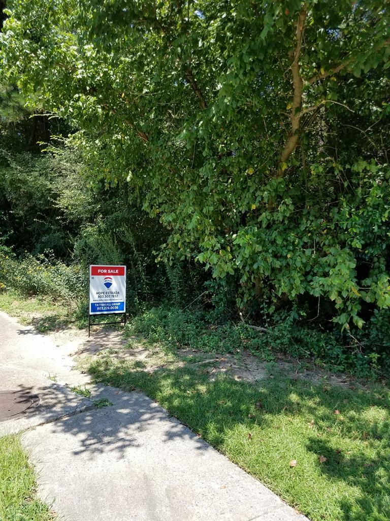 00 Todd Avenue - Photo 1