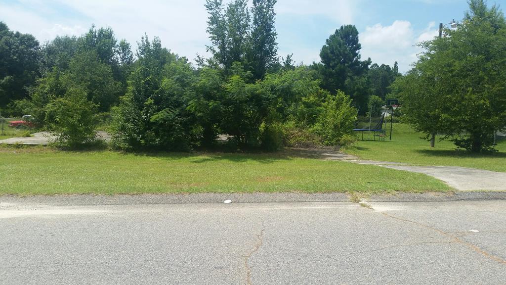 149 Runs Creek Dr - Photo 1