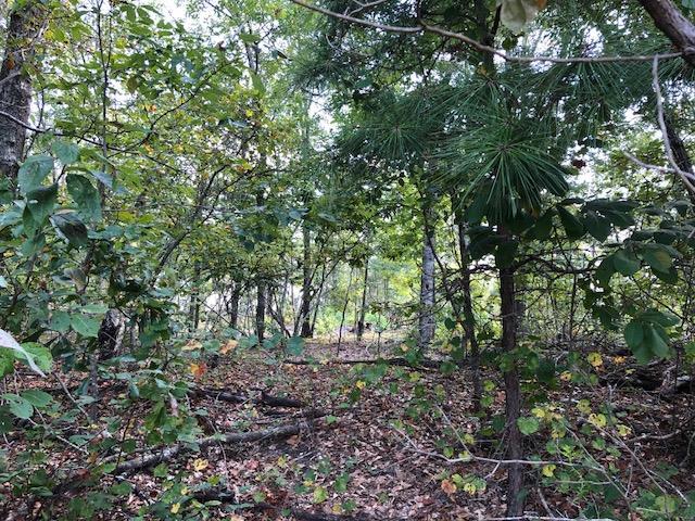 0 Sparrow Lane - Photo 1