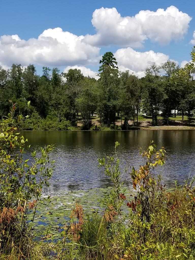 0 Lake Forest Lane - Photo 1