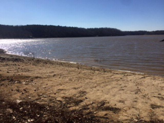 Lot 48 Willow Way - Photo 1