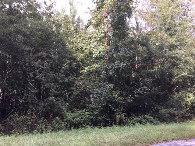 00 Bushland Road - Photo 1