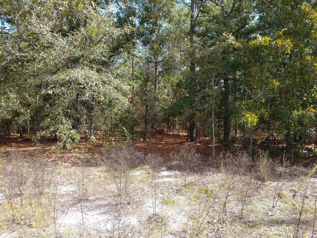 51 Green Oak Dr - Photo 1