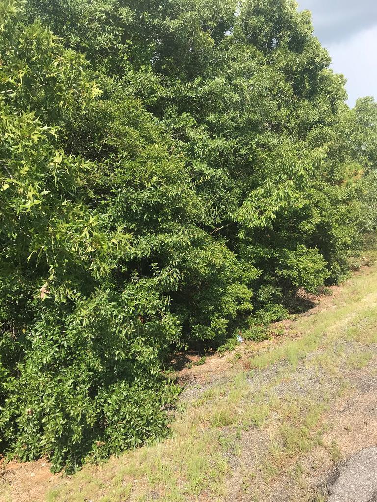 Lot 9 Legion Road - Photo 1
