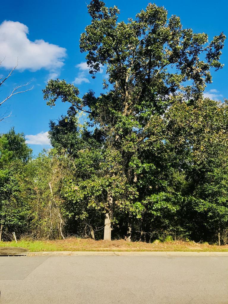 155 Foxhound Run Road - Photo 1 155 Foxhound Run Road - Photo 1