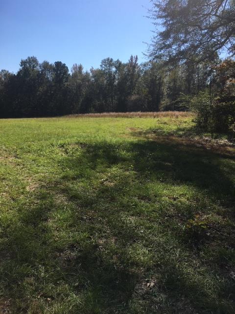 0000 Shadow Lane Road - Photo 1