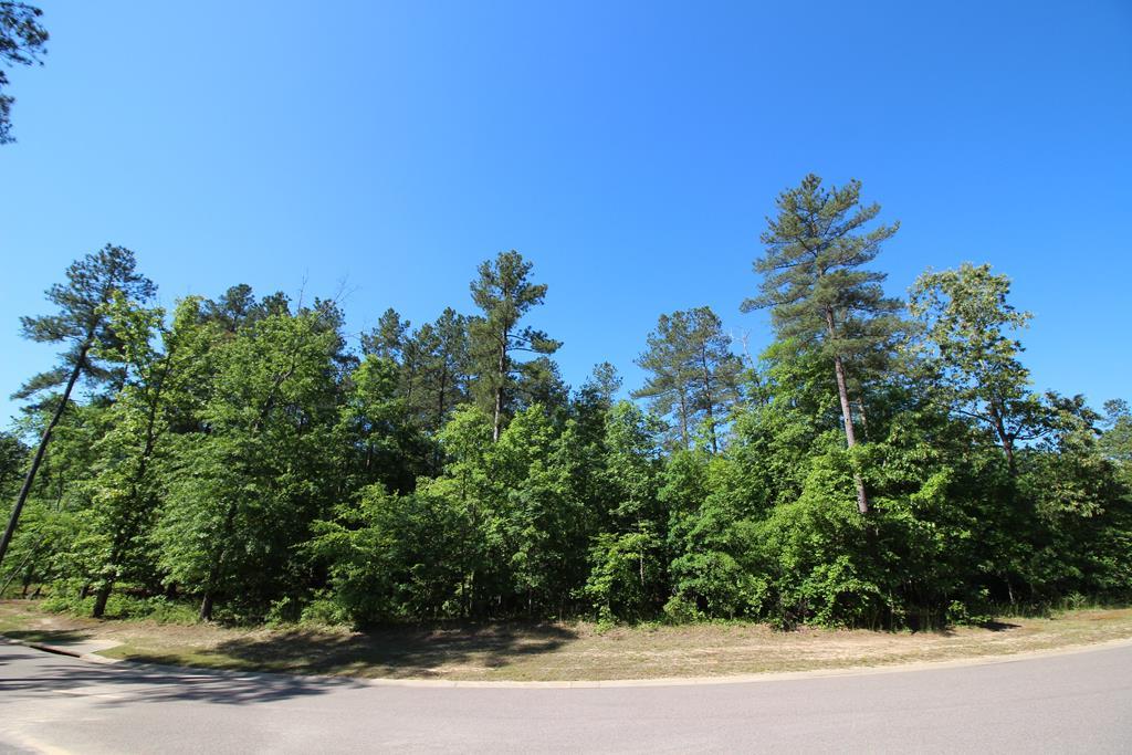 1095 Dunham Forest Way - Photo 1