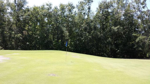 285 Whistling Straits Lane - Photo 1